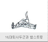 16.대퇴사두근과 햄스트링